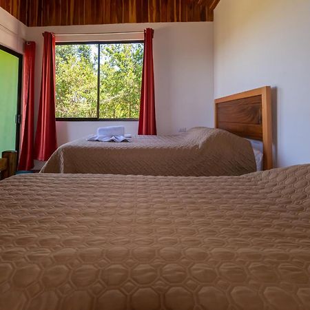 Cabinas Capulin & Farm Монте-Верде Экстерьер фото