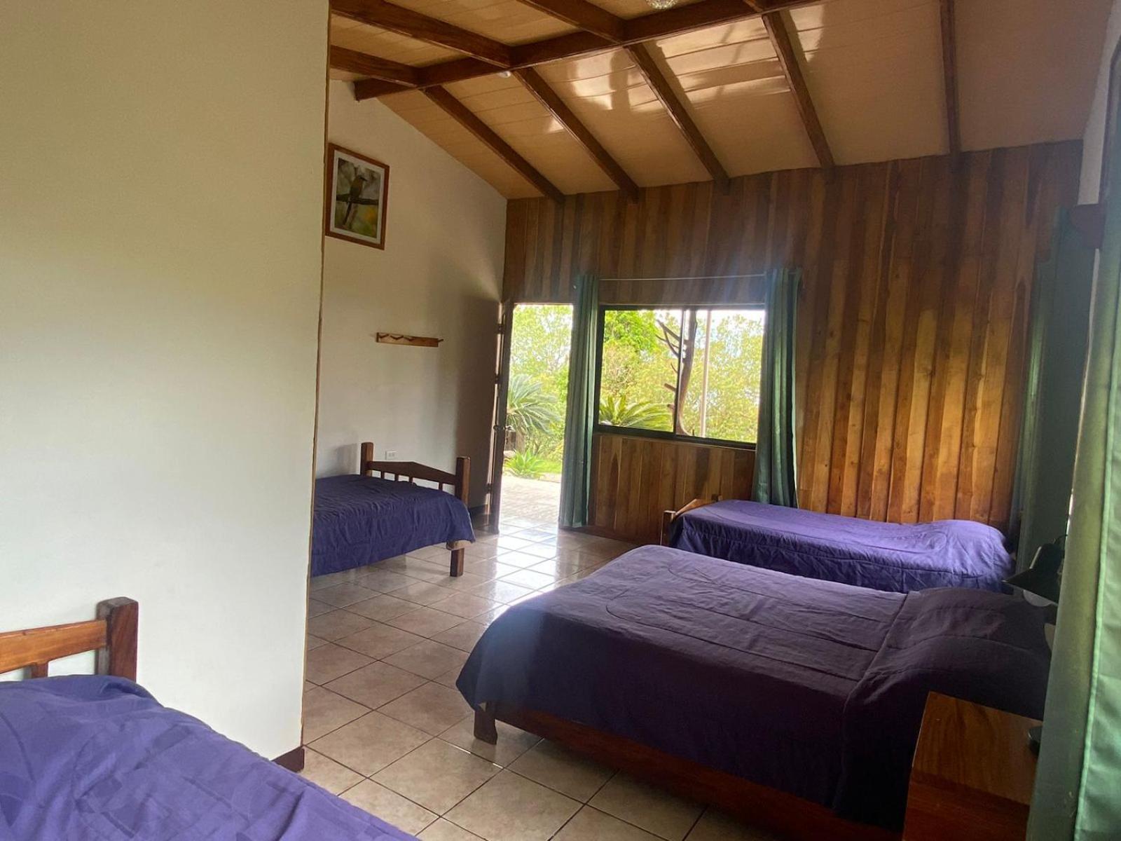 Cabinas Capulin & Farm Монте-Верде Экстерьер фото